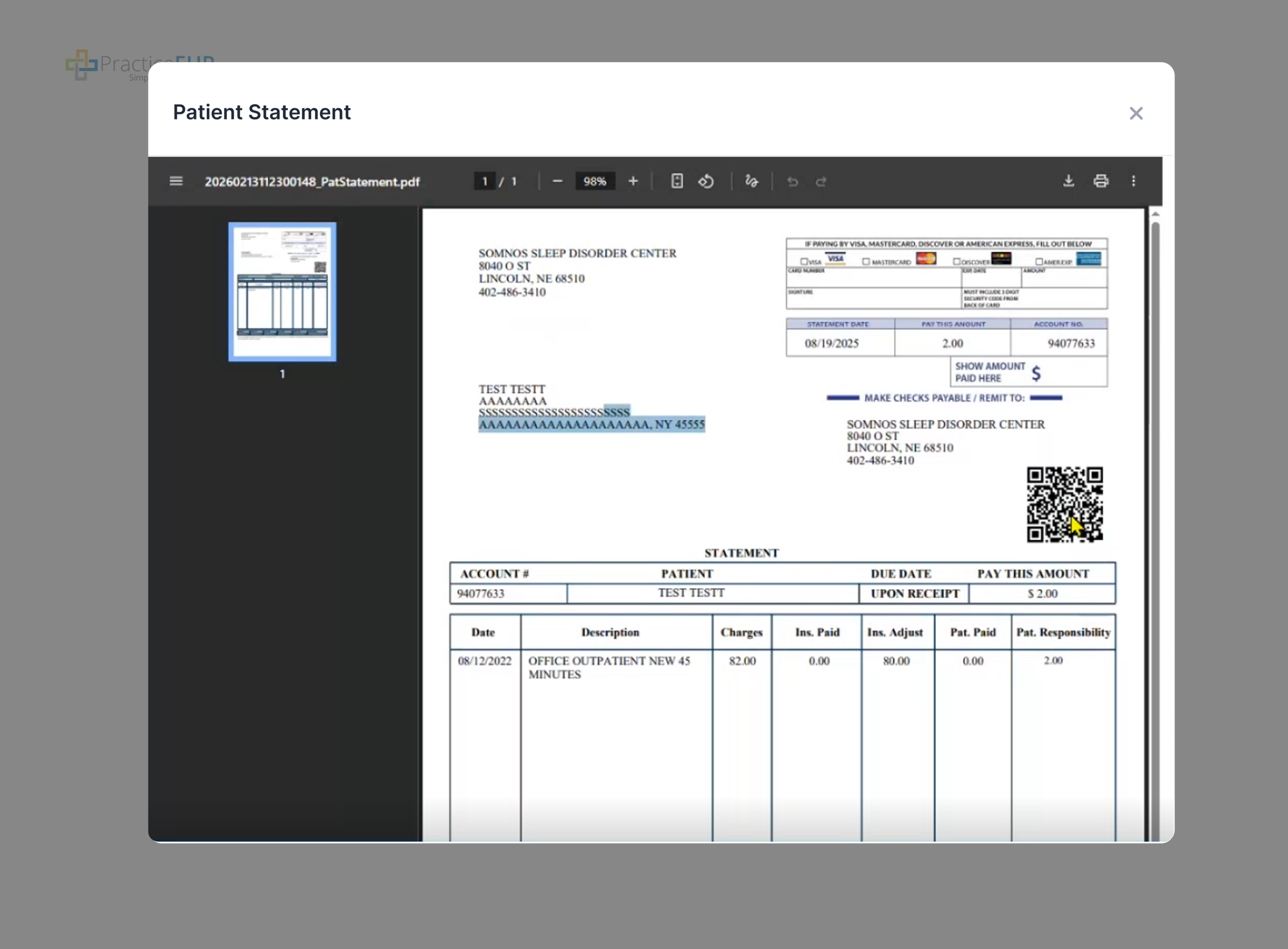 Statement PDF Preview