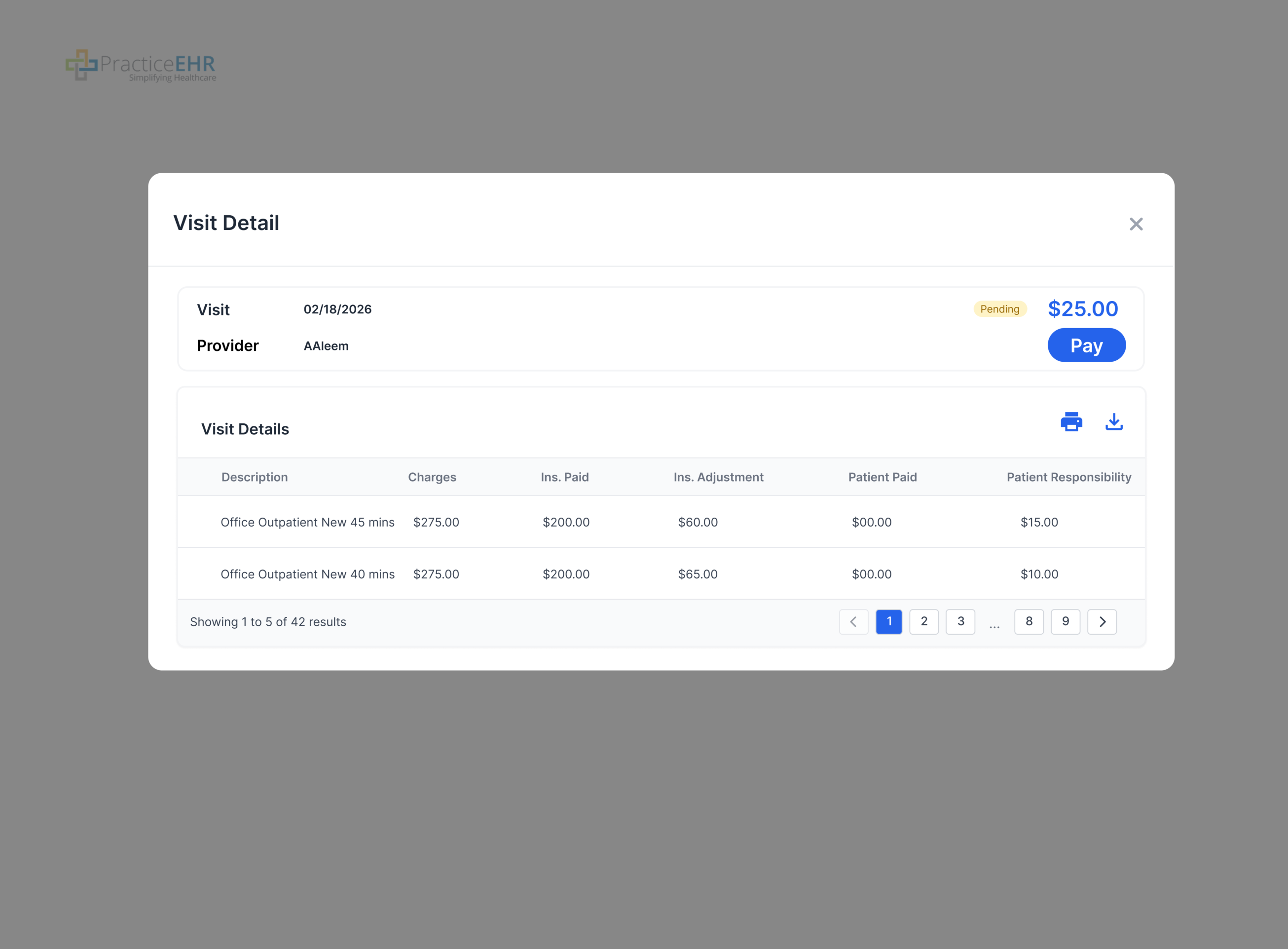 Visit Detail Modal with financial breakdown
